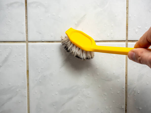 Home Mold Removal in Potomac, MD