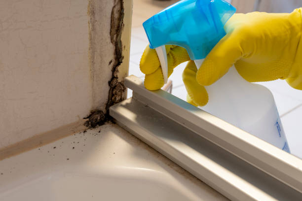Best Mold Cleaning Services  in Potomac, MD