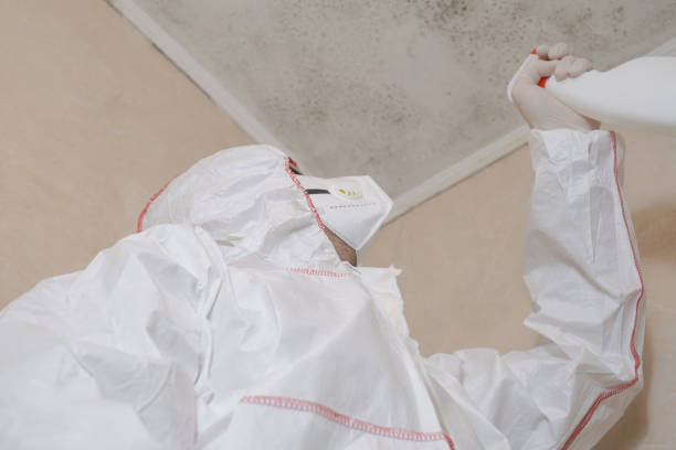 Best Crawl Space Mold Removal  in Potomac, MD