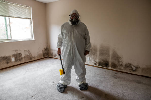 Best Certified Mold Removal  in Potomac, MD